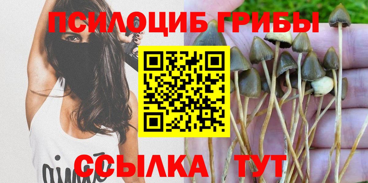 Псилоцибиновые грибы ЛСД Киселёвск