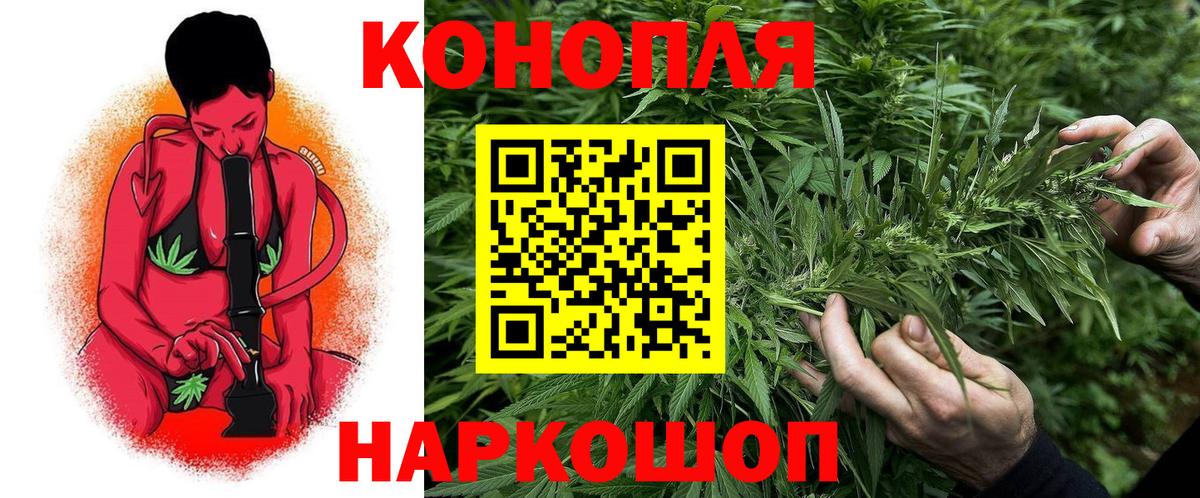 Киселёвск  Бошки марихуана White Widow  Шишки марихуана THC 21%  Каннабис гибрид  Вход с VPN 